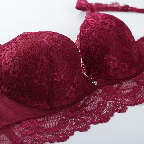 Women Sexy Lace Bra