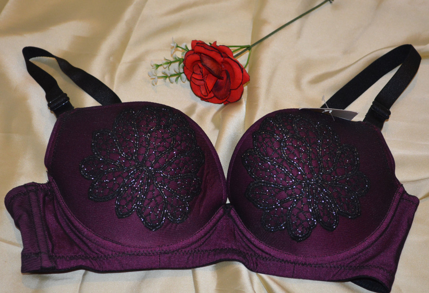 Fancy Pushup Bra Set