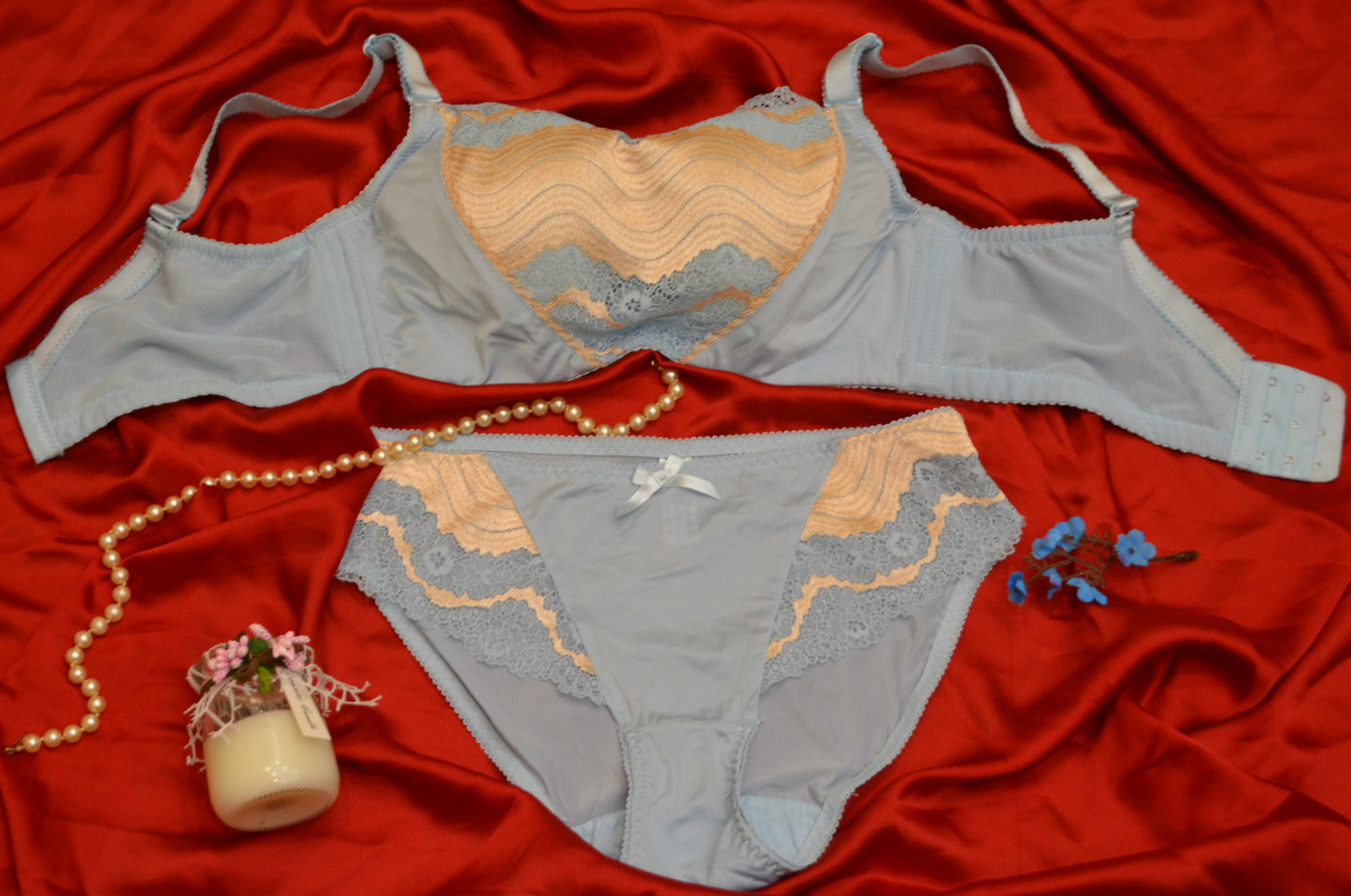 Fully Embroidered Pushup Bra Set