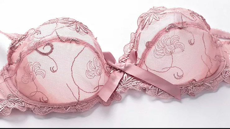 Hot & Sexy Net and Lace Bra Set