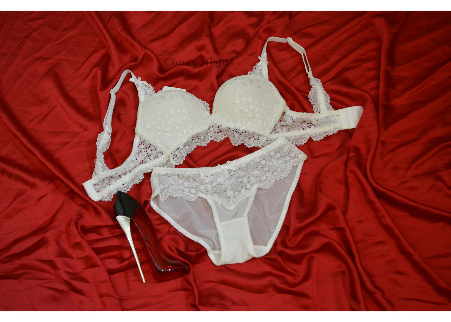 Full Coverage Lace Embroidered Bra Sets