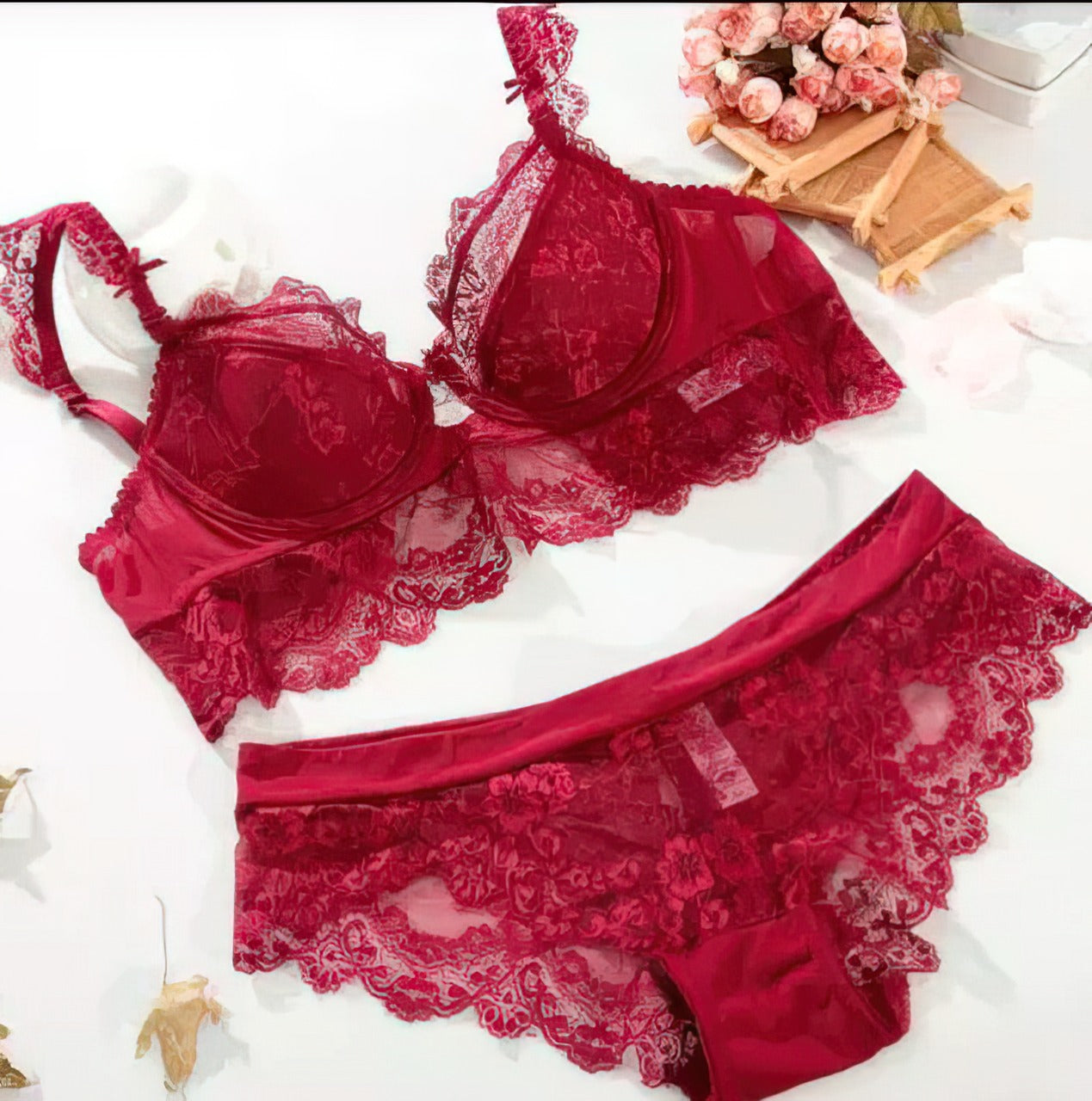 Lace Net Sexy Bra Set