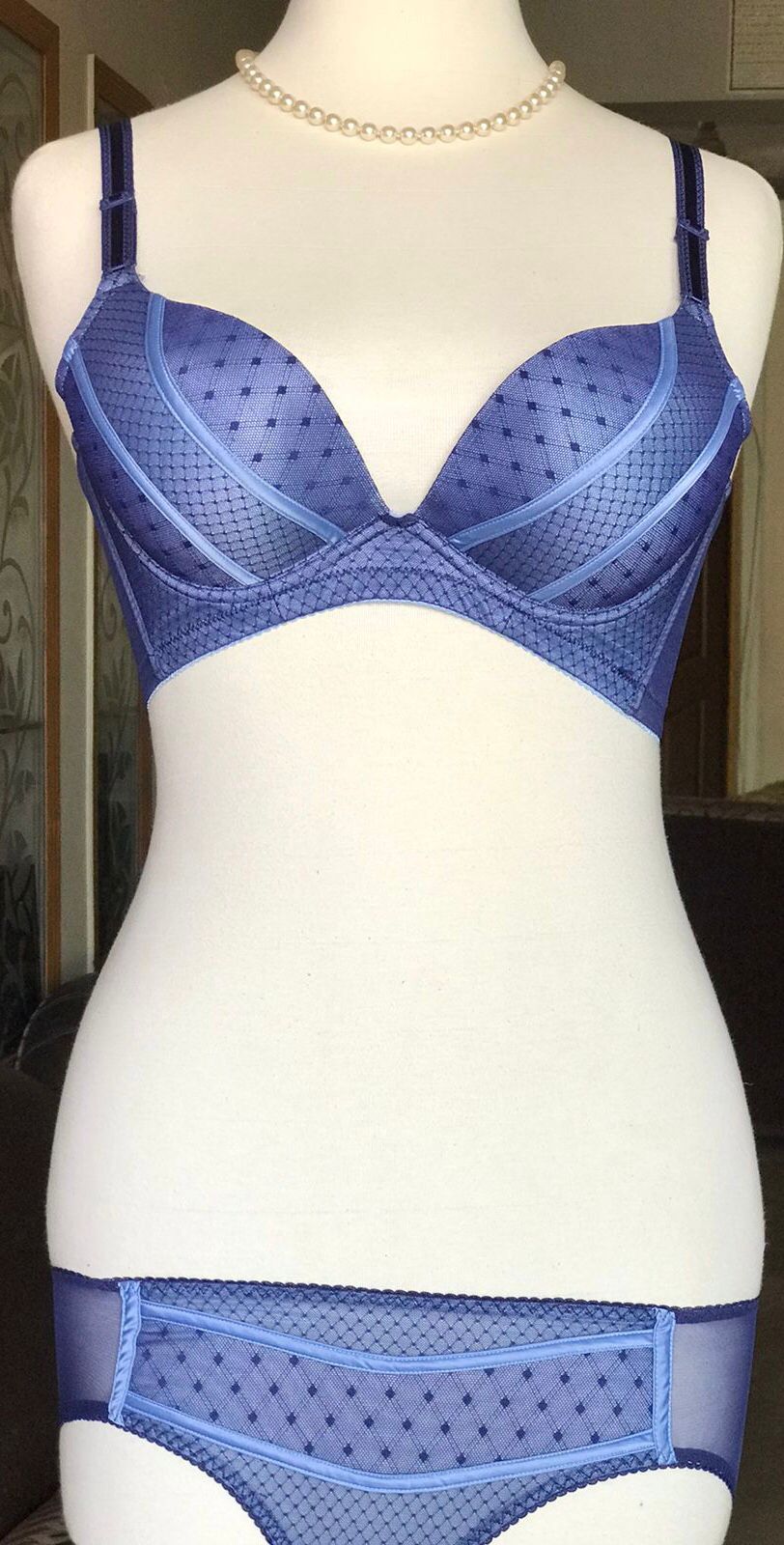 Blue Lines Heavy Pushup Bra Set