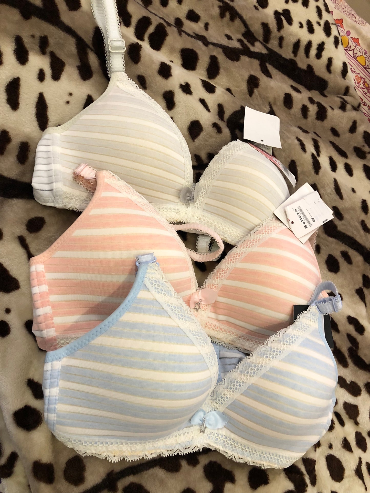 Soft Padded and Wired Bra