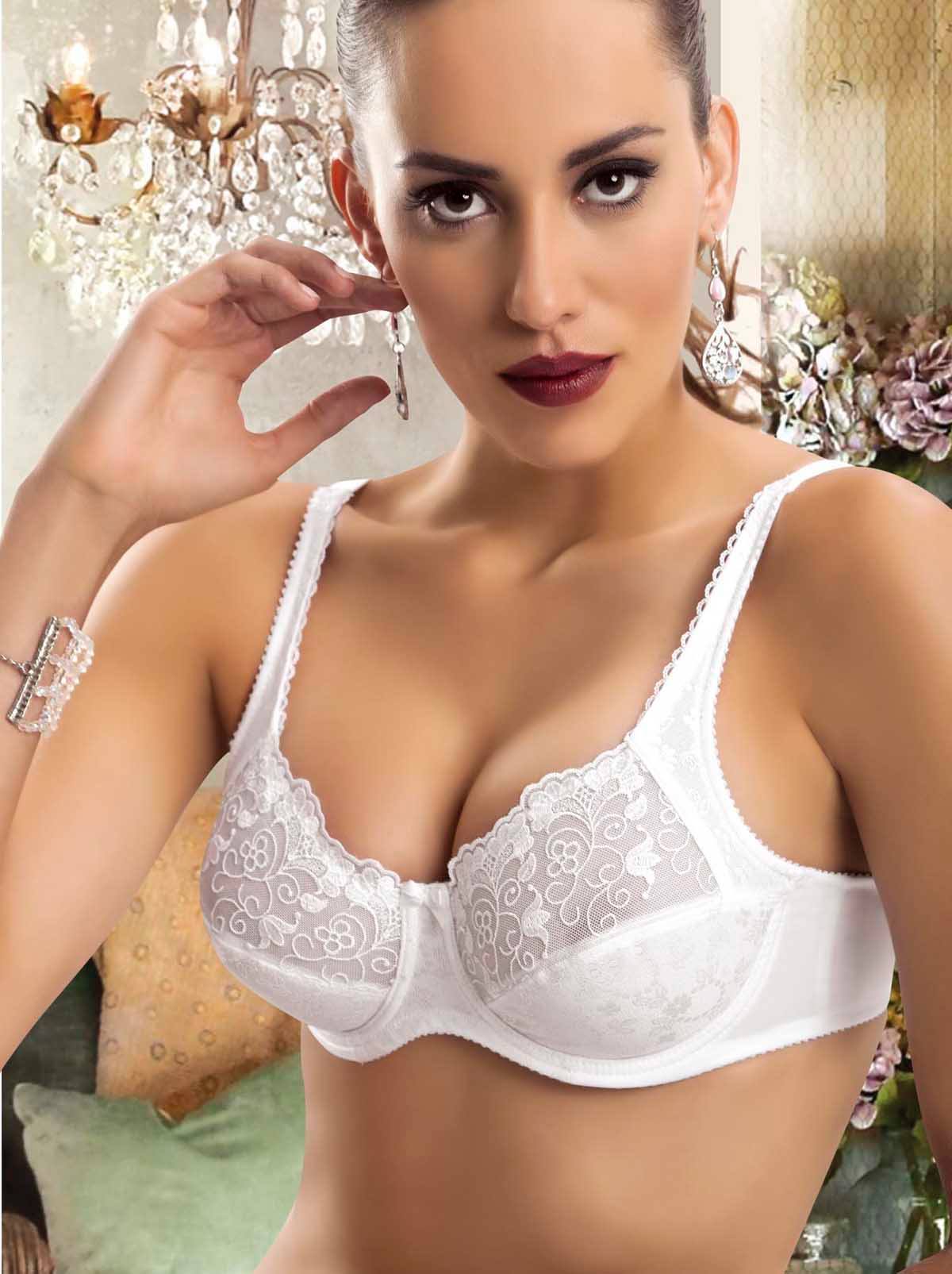 Embroidered Half Net Wired Bra