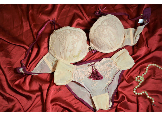 Embroidered & Lacy Bra Set