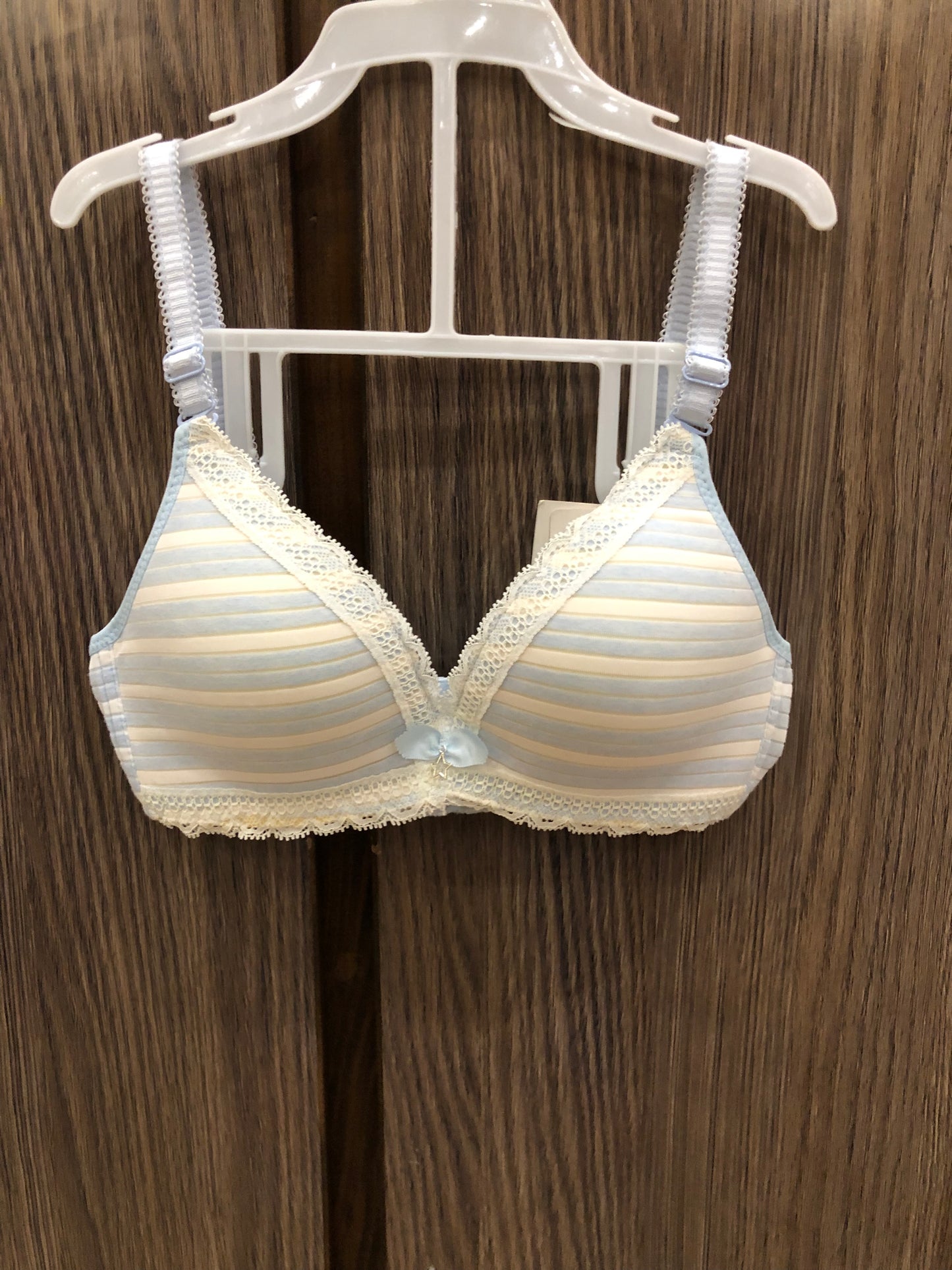 Soft Padded and Wired Bra