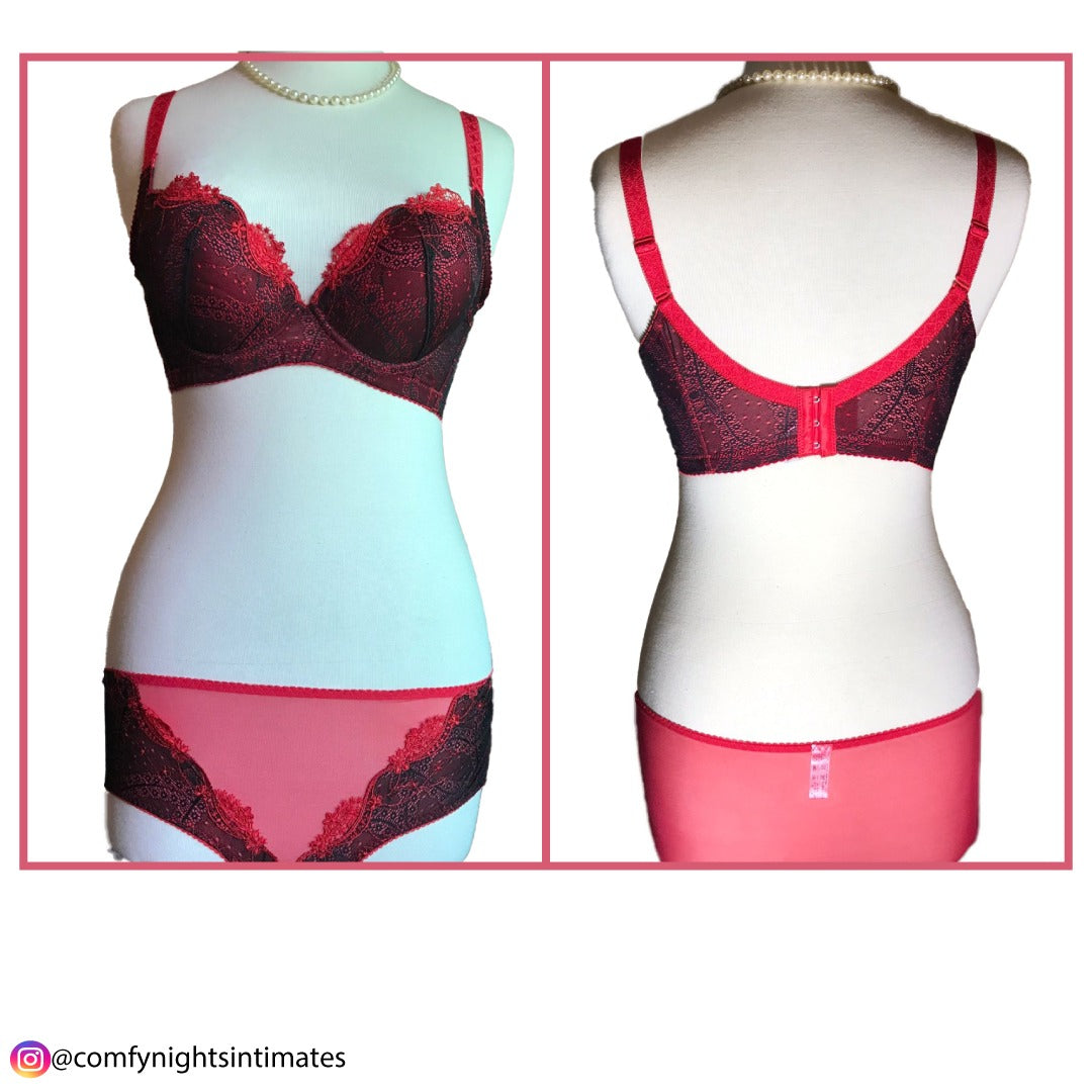 Red Net Embroidered Bra Set